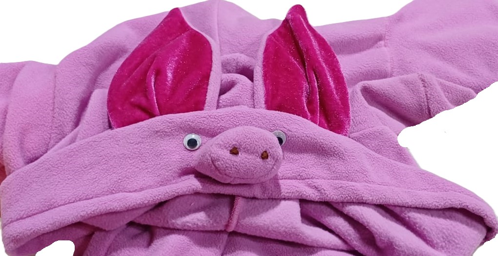 картинка Костюм поросенка от магазина Одежда+