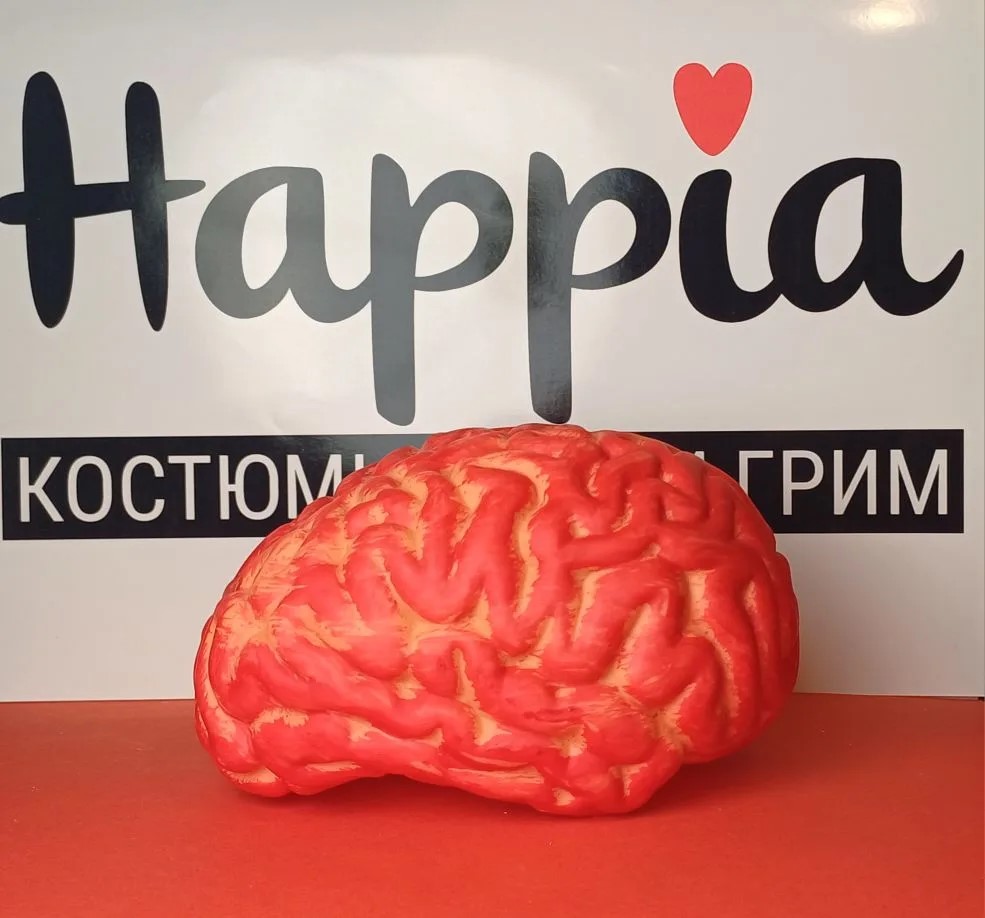 картинка Муляж головного мозга от магазина Одежда+