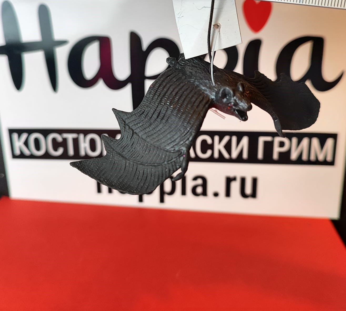 картинка Черная летучая мышь на Хэллоуин от магазина Одежда+