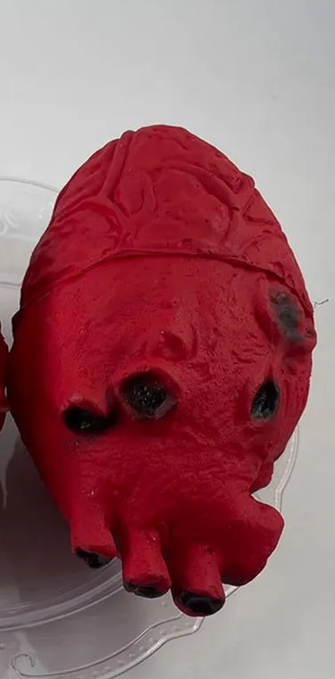 картинка Муляж человеческого сердца от магазина Одежда+