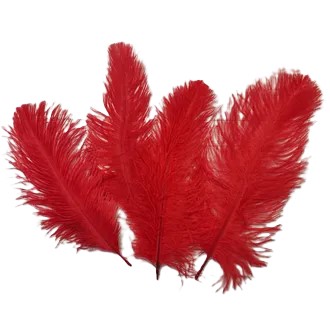 картинка Большое страусиное перо 40 см от магазина Одежда+
