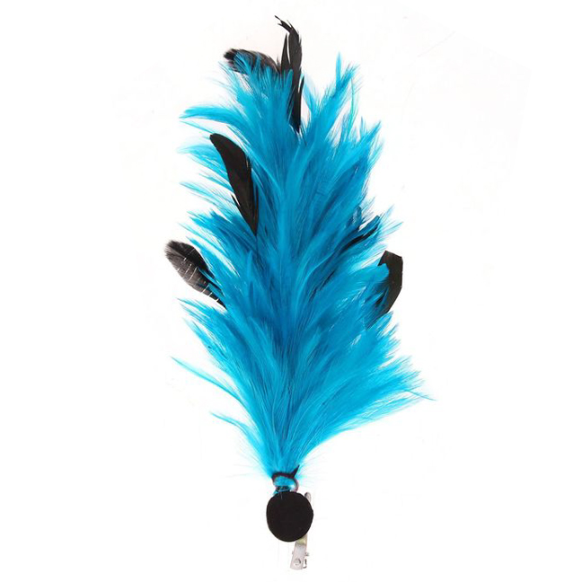 картинка Перо карнавальное цветное на значке и зажиме от магазина Одежда+