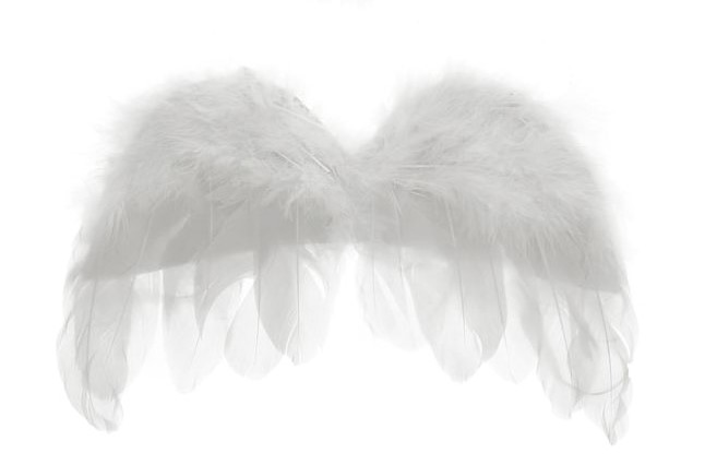 картинка Малые белые крылья от магазина Одежда+