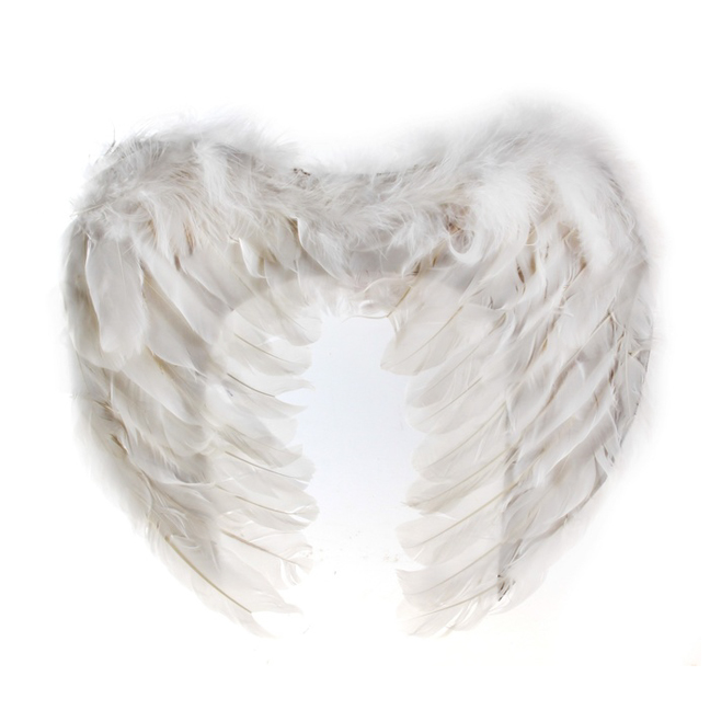картинка Малые белые крылья от магазина Одежда+