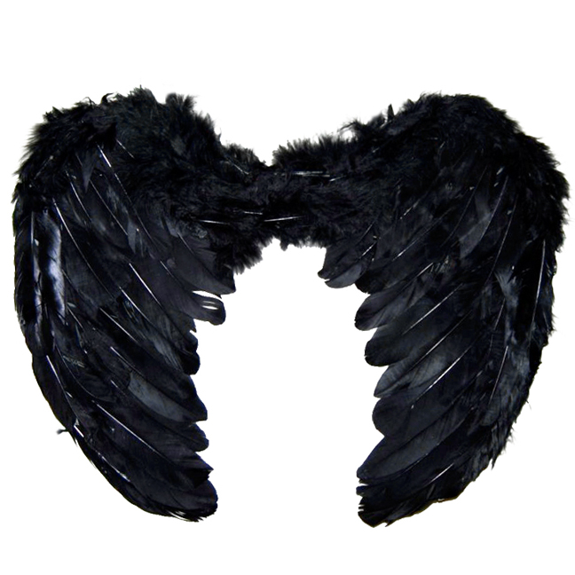 картинка Малые черные крылья из перьев от магазина Одежда+