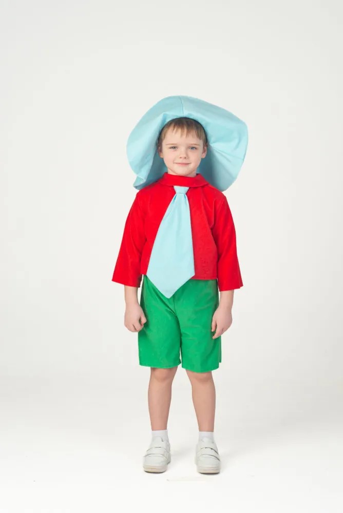 картинка Детский костюм Незнайка от магазина Одежда+