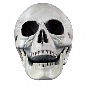 Человеческий череп - украшение на Хэллоуин