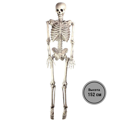 Человеческий скелет - украшение на Хэллоуин