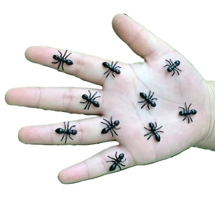 картинка Набор муравьев - украшение на Хэллоуин от магазина Одежда+