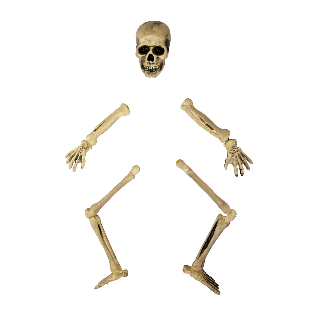 Полный набор костей