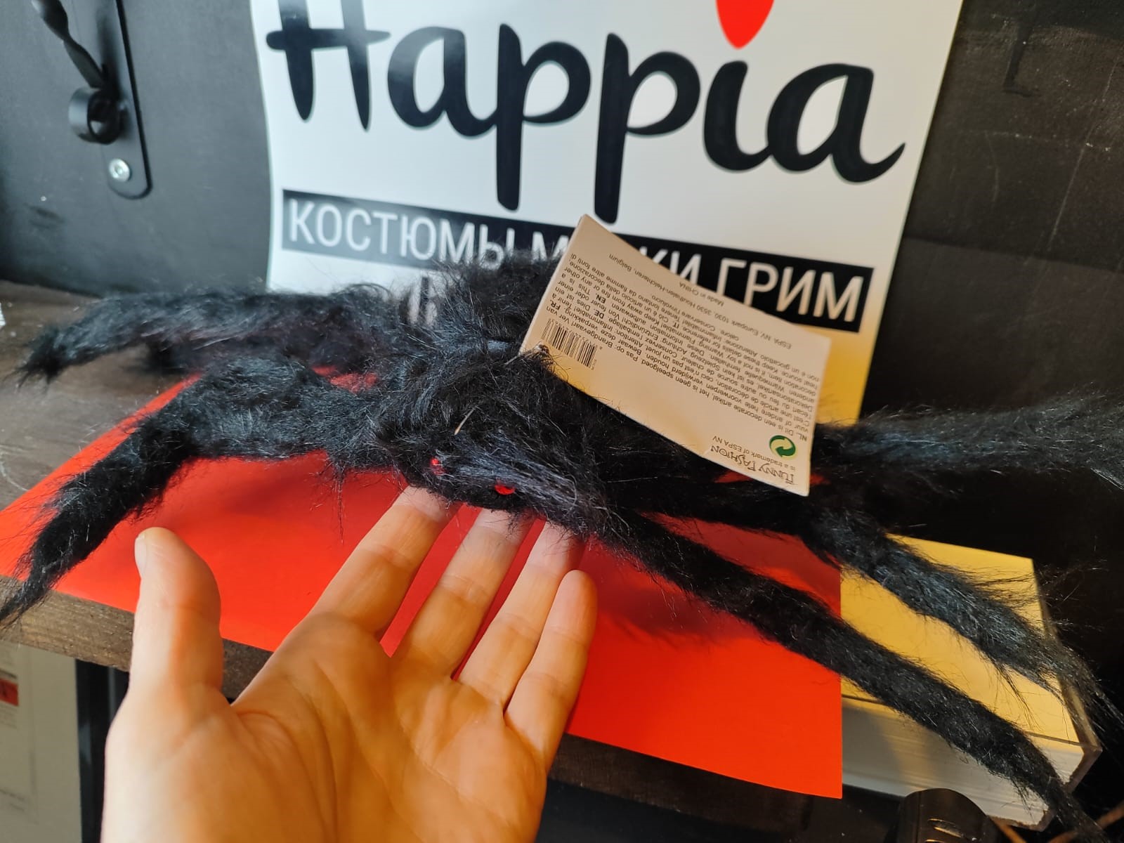 картинка Большой паук на Хэллоуин от магазина Одежда+