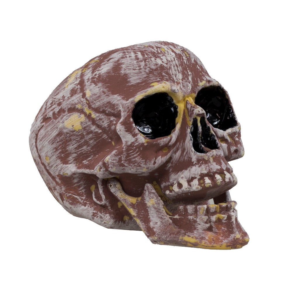 картинка Череп - украшение на Хэллоуин от магазина Одежда+