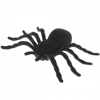 Чёрный паук-тарантул