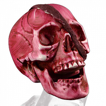 Декорация на Хэллоуин «Кровавый череп»