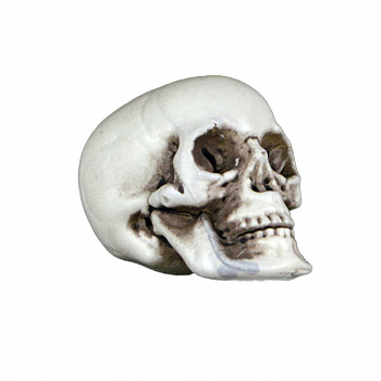 Маленький череп - украшение для Хэллоуина