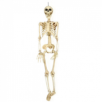 Искусственный скелет человека - декор на Хэллоуин