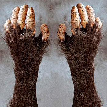Перчатки-руки обезьяны