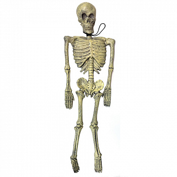 Резиновая кукла «Скелет» - украшение на Хэллоуин