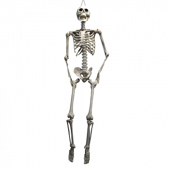 Большой человеческий скелет (175 см)