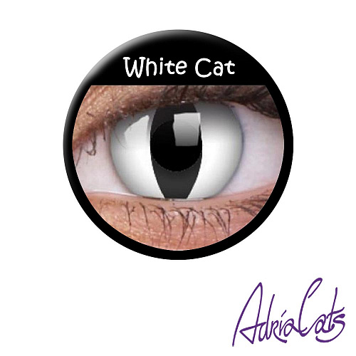 Белые линзы «White Cat»