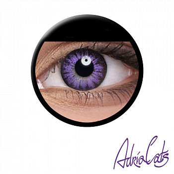 Оттеночные фиолетовые линзы «Glamour Violet»