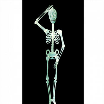Фосфорный скелет 85 см - украшение на Хэллоуин