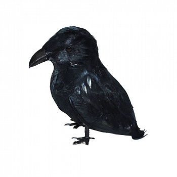 Черный ворон - украшение на Хэллоуин