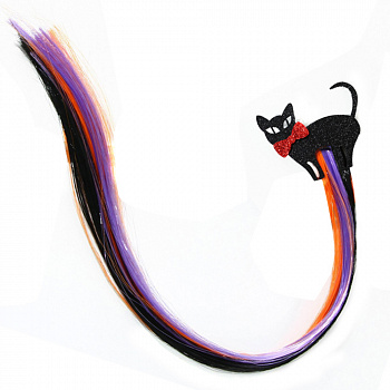 Цветная прядь на заколке «Чёрный кот»