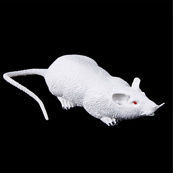 Растущая белая резиновая крыса на Хэллоуин