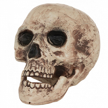 Большой человеческий череп на Хэллоуин
